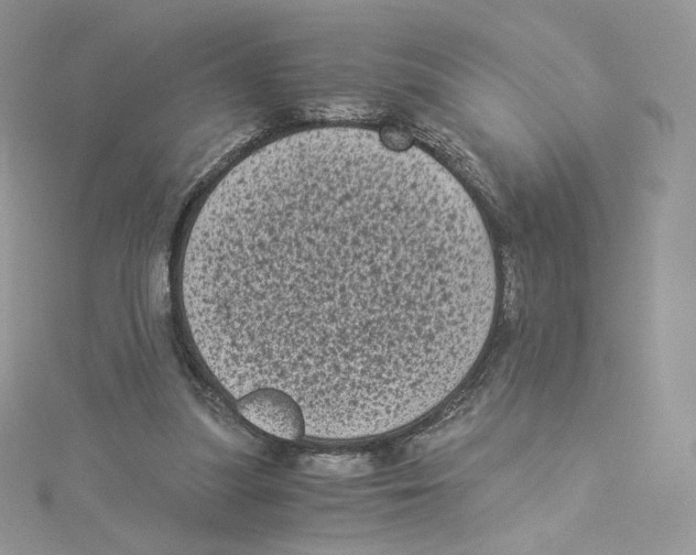 X0000114520251200911161322