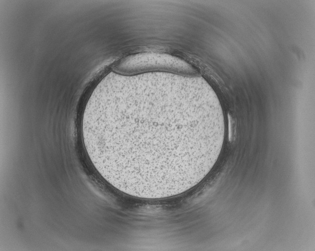 X0000114520252200911161322