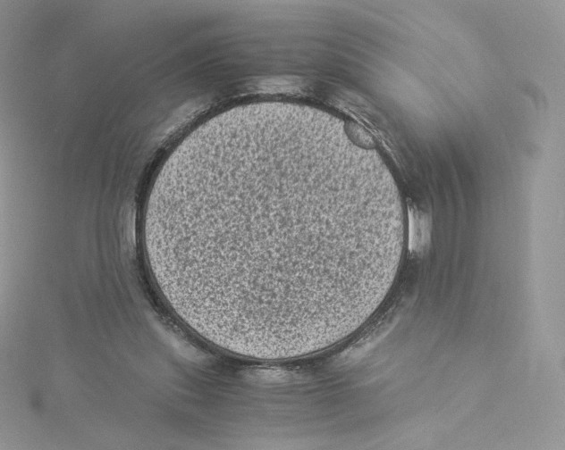 X0000114520253200911161322