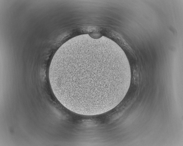 X0000114520259200911161322