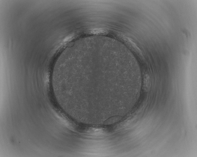 X0000114520260200911161322