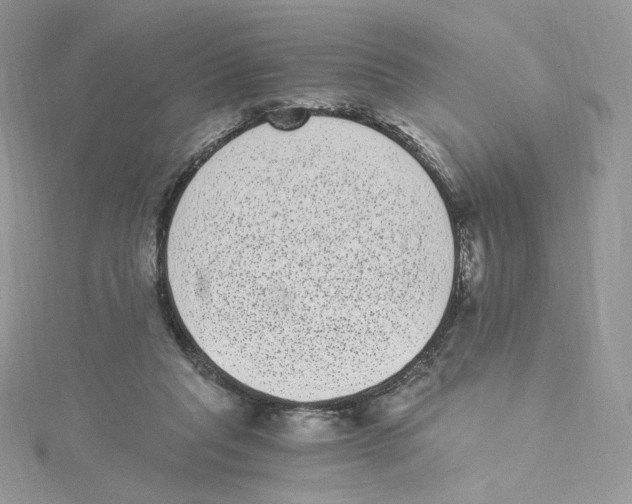 X0000114520261200911161322