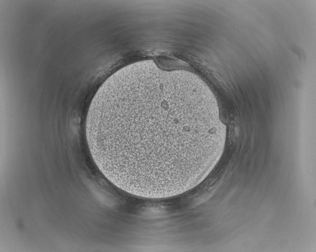 X0000114520263200911161322