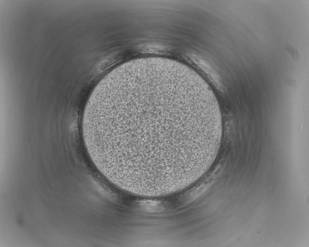 X0000114520265200911161322