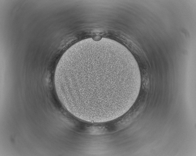 X0000114520270200911161322