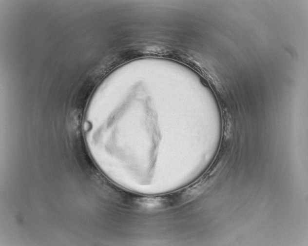 X0000114520273200911161322