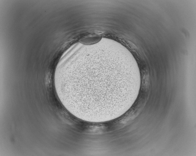 X0000114520274200911161322