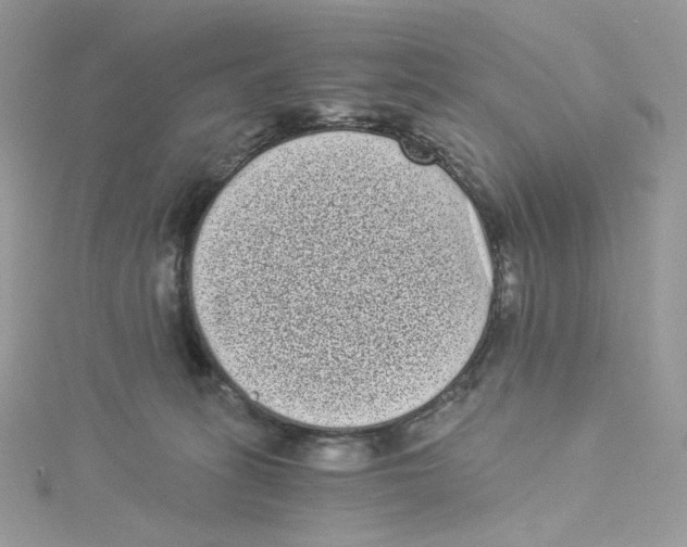 X0000114520275200911161322