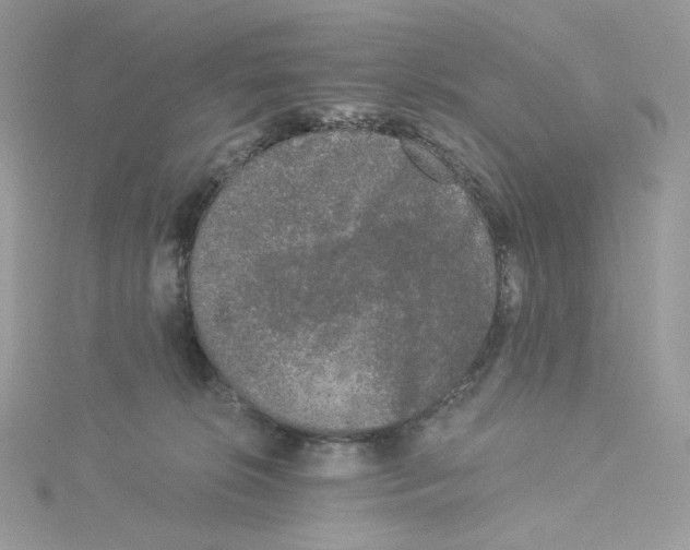 X0000114520276200911161323