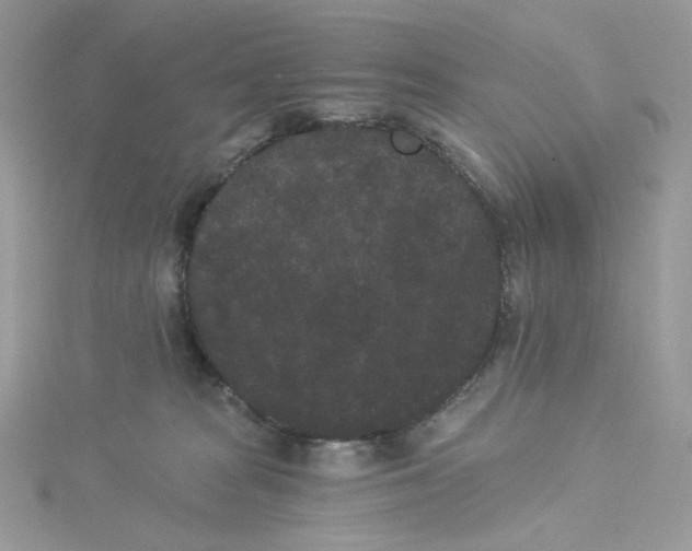 X0000114520277200911161323