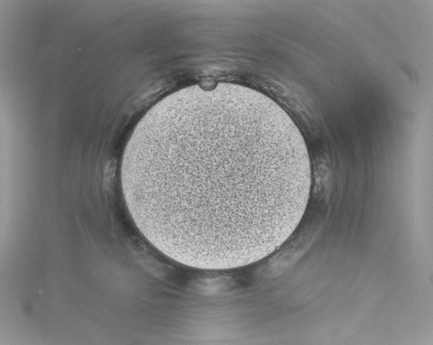 X0000114520278200911161323