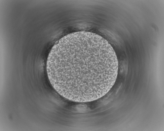 X0000114520279200911161323