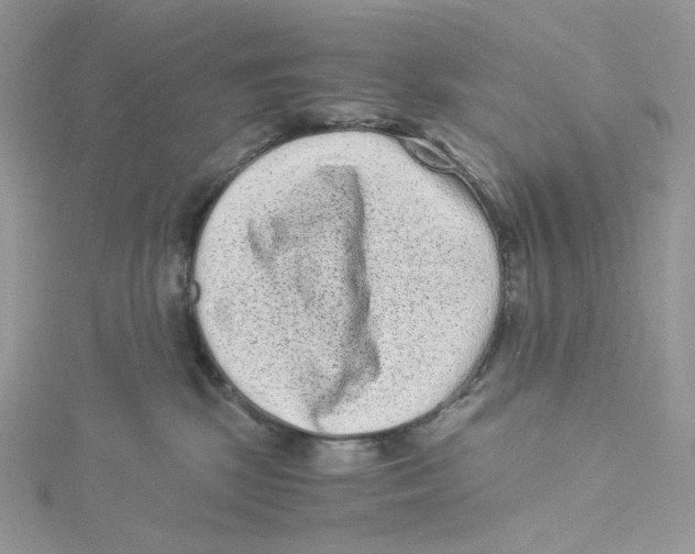 X0000114520281200911161323