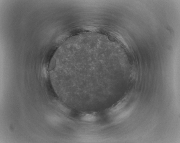 X0000114520285200911161323