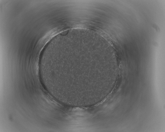 X0000114520290200911161322