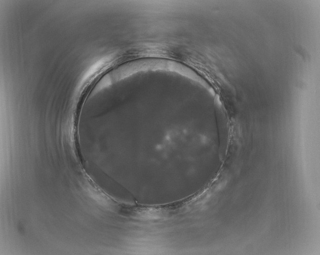 X0000114520293200911161322