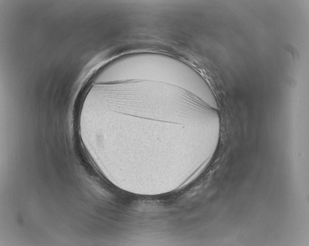 X0000114520296200911161322