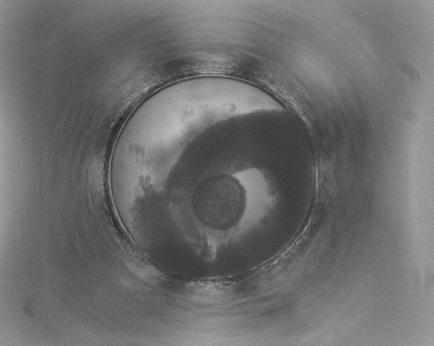 X0000114520297200911161322