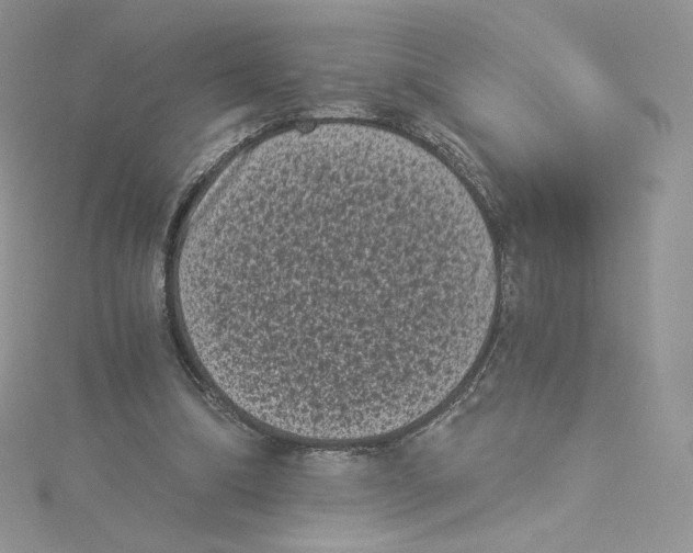 X0000114520298200911161322