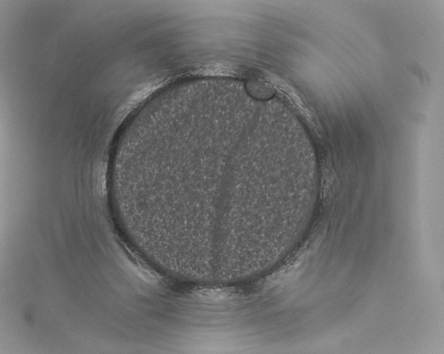 X0000114520299200911161322