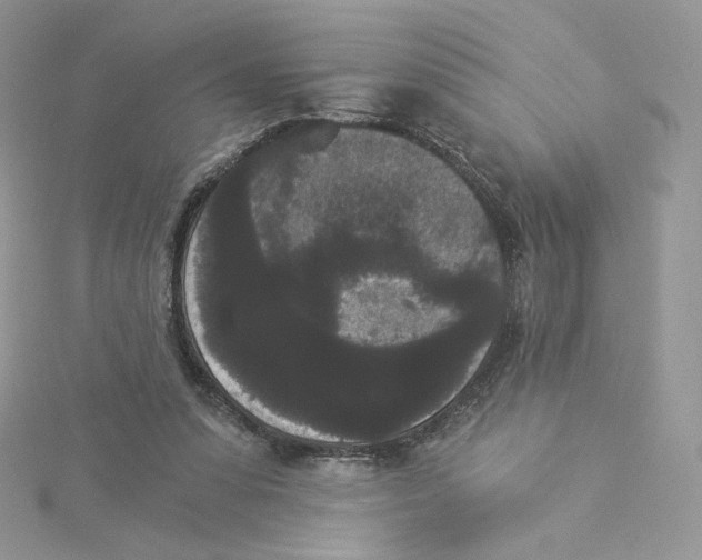 X0000114520303200911161322