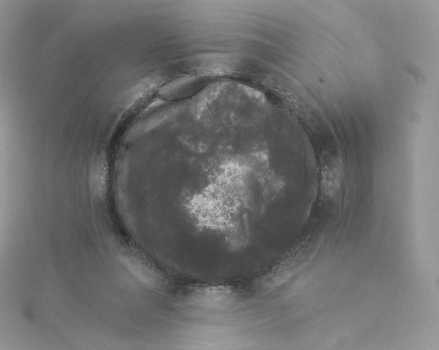 X0000114520304200911161322