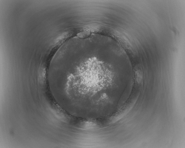 X0000114520308200911161322