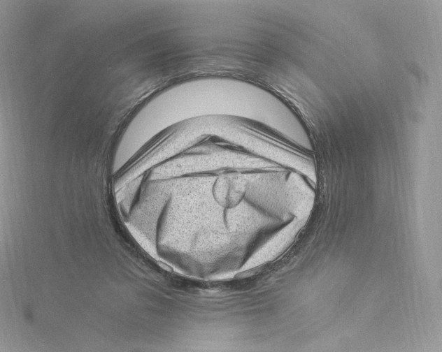 X0000114520309200911161322