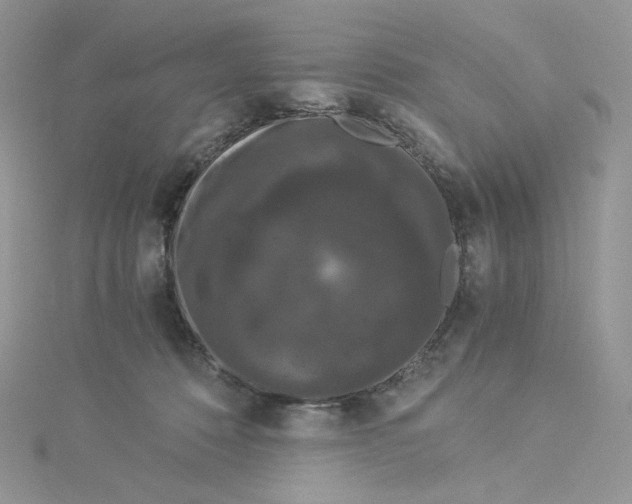 X0000114520320200911161322