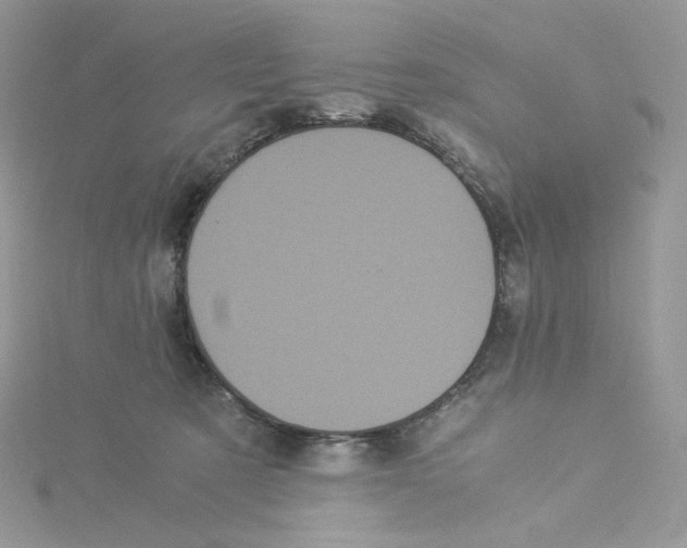 X0000114520321200911161322