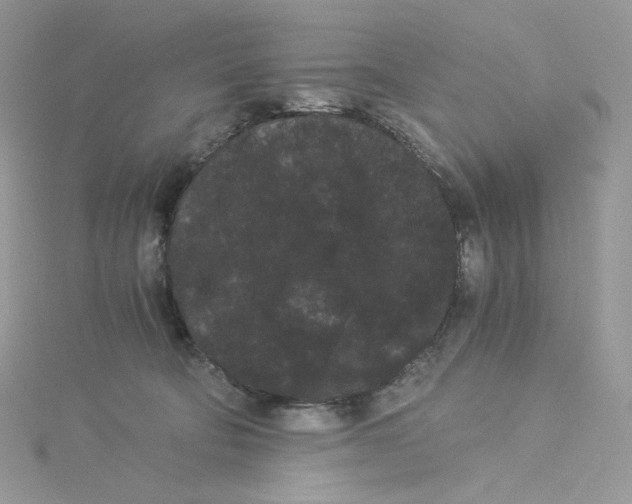 X0000114520322200911161322