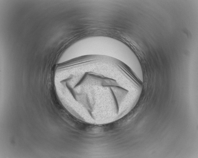 X0000114520325200911161322