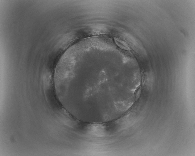 X0000114520327200911161322