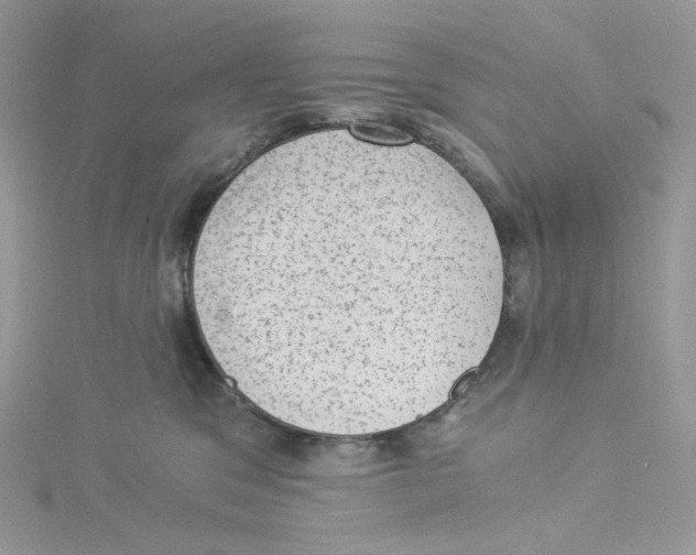 X0000114520329200911161322