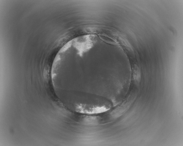 X0000114520332200911161321