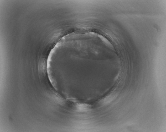 X0000114520336200911161321