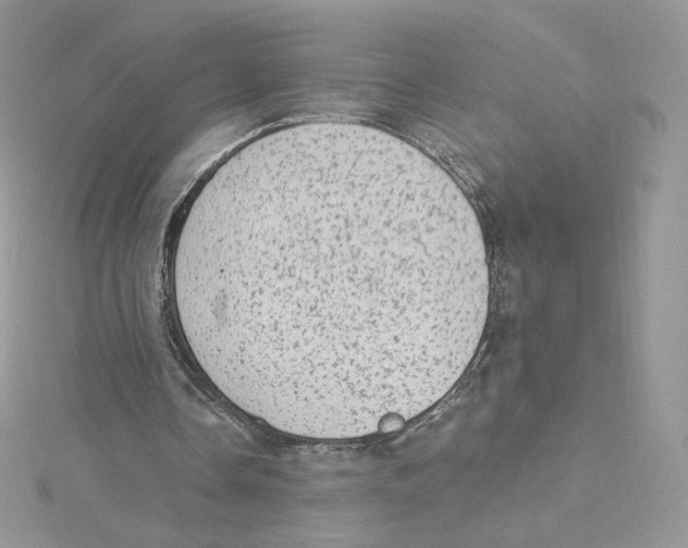 X0000114520338200911161321