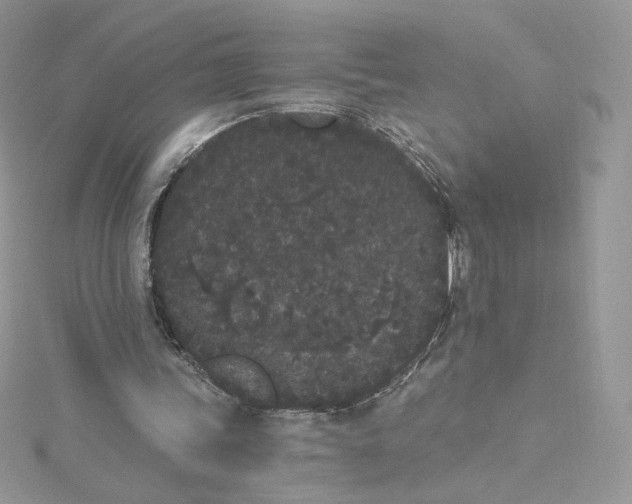 X0000114520339200911161321