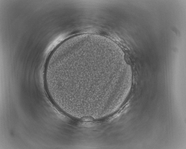 X0000114520341200911161321