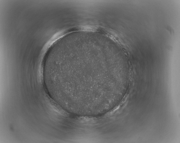 X0000114520343200911161321