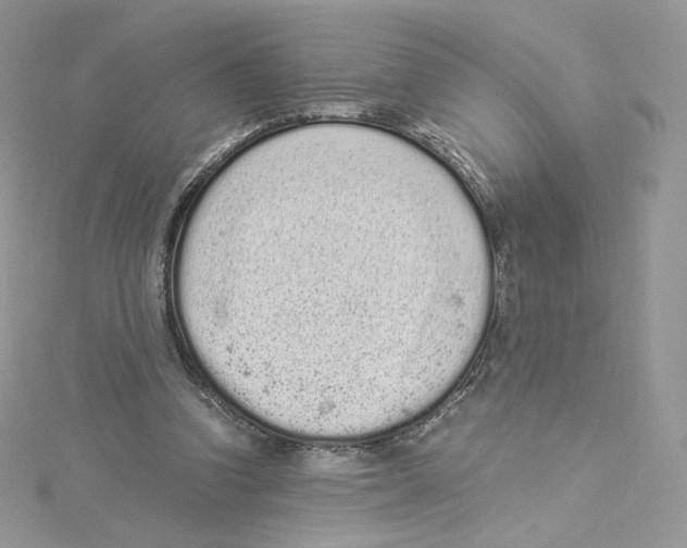 X0000114520346200911161321