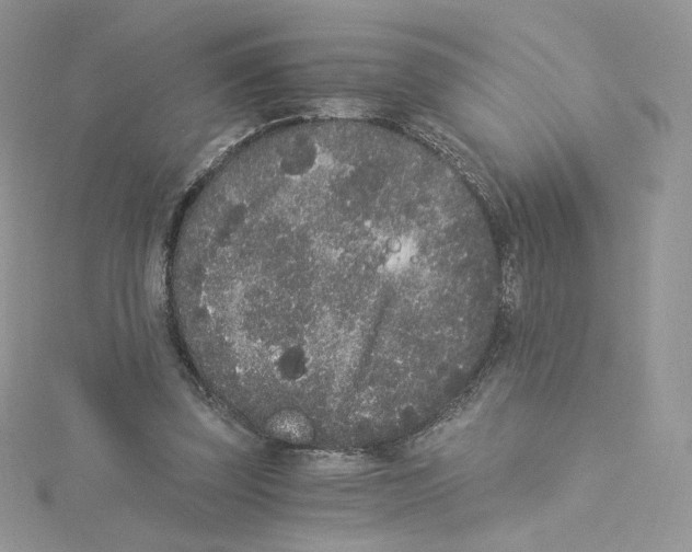 X0000114520347200911161321