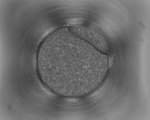 X0000114520349200911161321