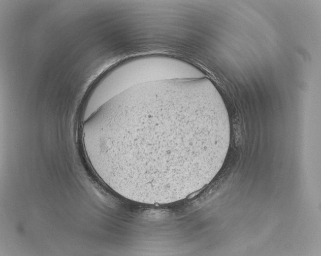 X0000114520350200911161321