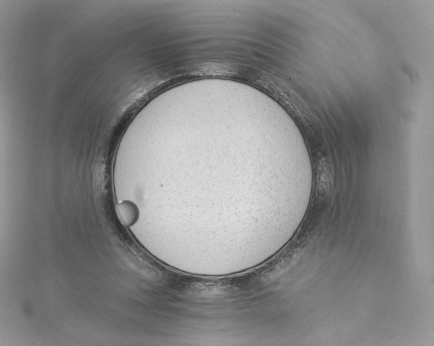 X0000114520351200911161321