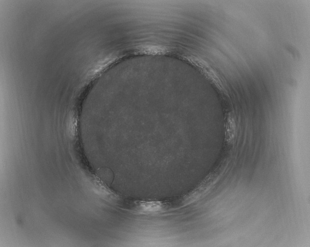 X0000114520355200911161321