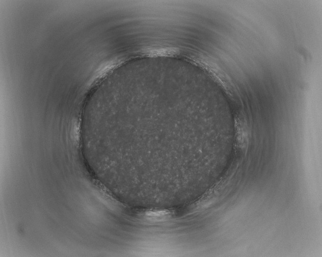 X0000114520357200911161321