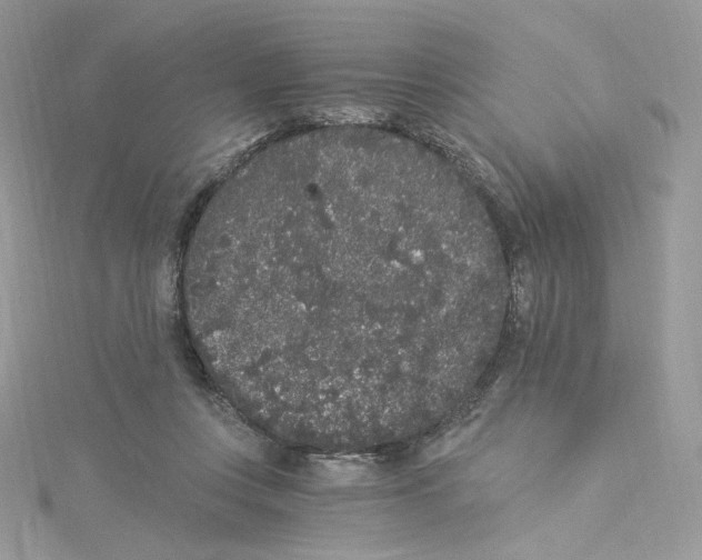 X0000114520359200911161321