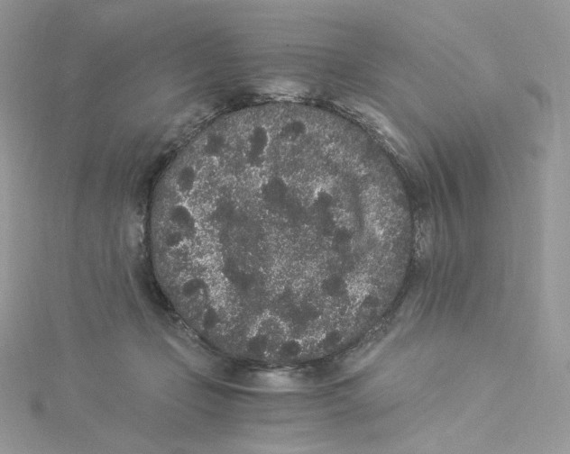 X0000114520365200911161321