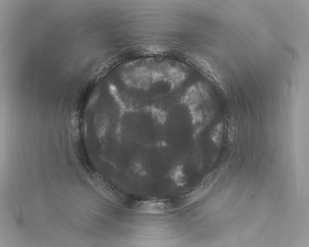 X0000114520366200911161321